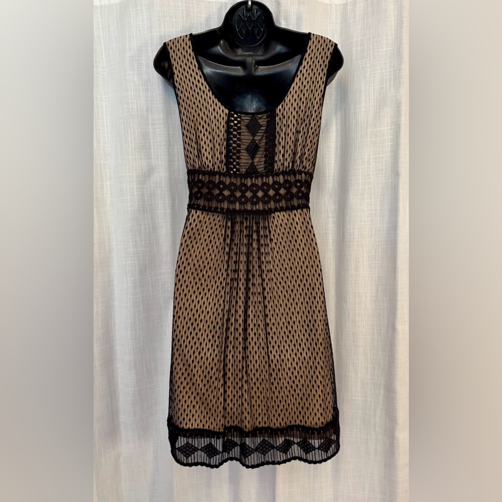 Black and Tan Mesh Dress